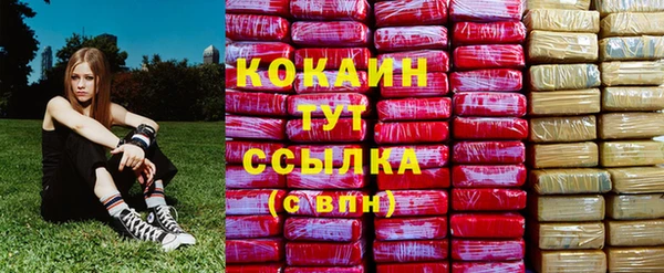ешки Алзамай