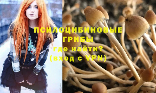 ешки Алзамай
