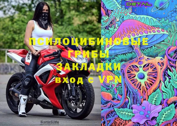 ешки Алзамай