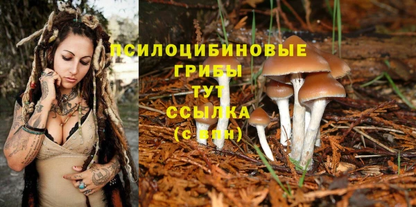 ешки Алзамай