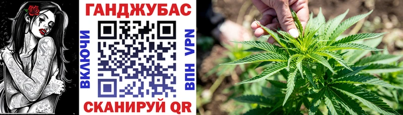 Бошки Шишки планчик  Карачаевск 
